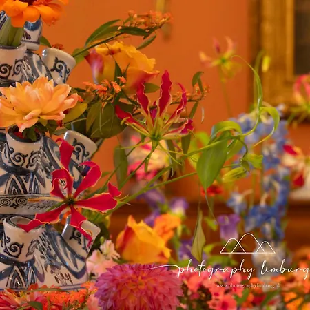 Bed & Breakfast Kasteel Mheer D'hotes 3*
